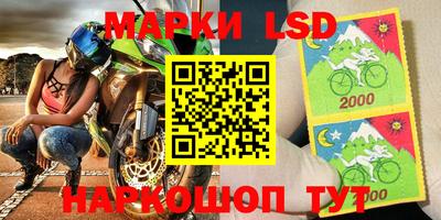 прущие грибы Можга