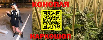 прущие грибы Можга