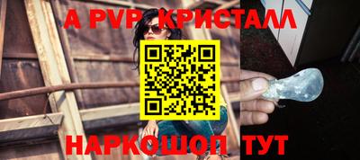 прущие грибы Можга