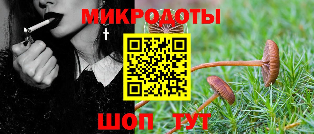 Галлюциногенные грибы Psilocybine cubensis  Вход с VPN  Псилоцибиновые грибы Psilocybine cubensis  Усолье-Сибирское 