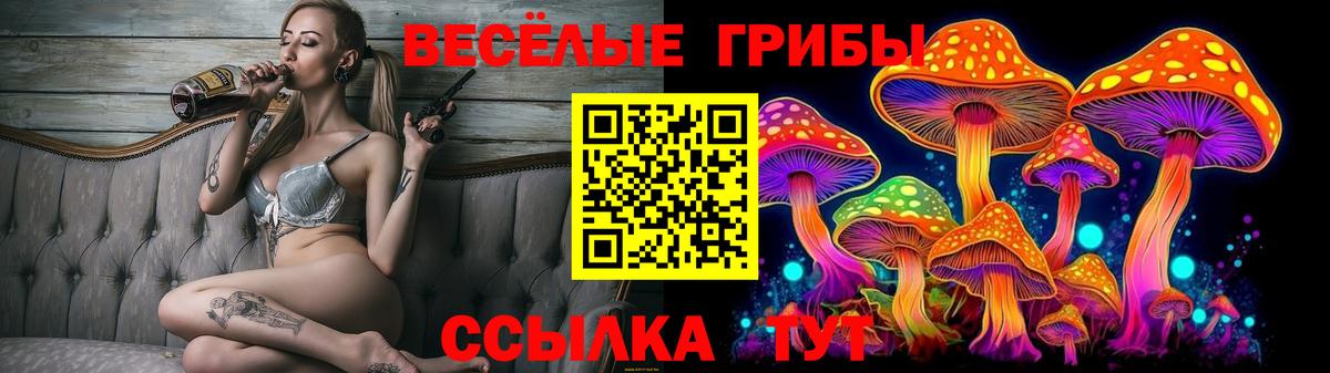 Галлюциногенные грибы GOLDEN TEACHER Усолье-Сибирское